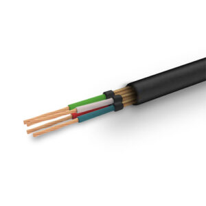 Cavo Splitter Audio Y RCA Femmina A 2 Maschi - 2 Pezzi, 0,2m, Placcato Oro 24K, Schermato Per Subwoofer